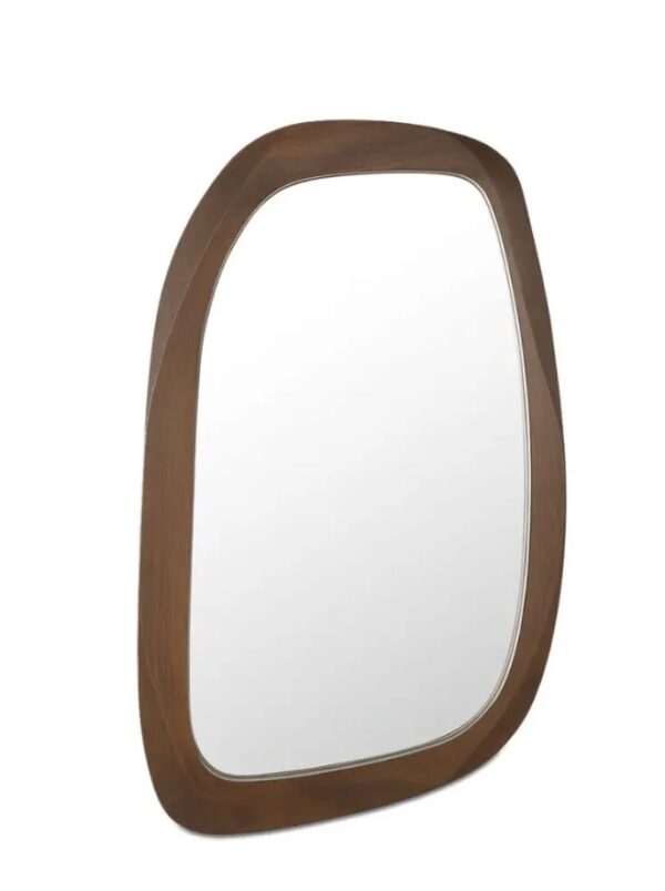 Levys mirror